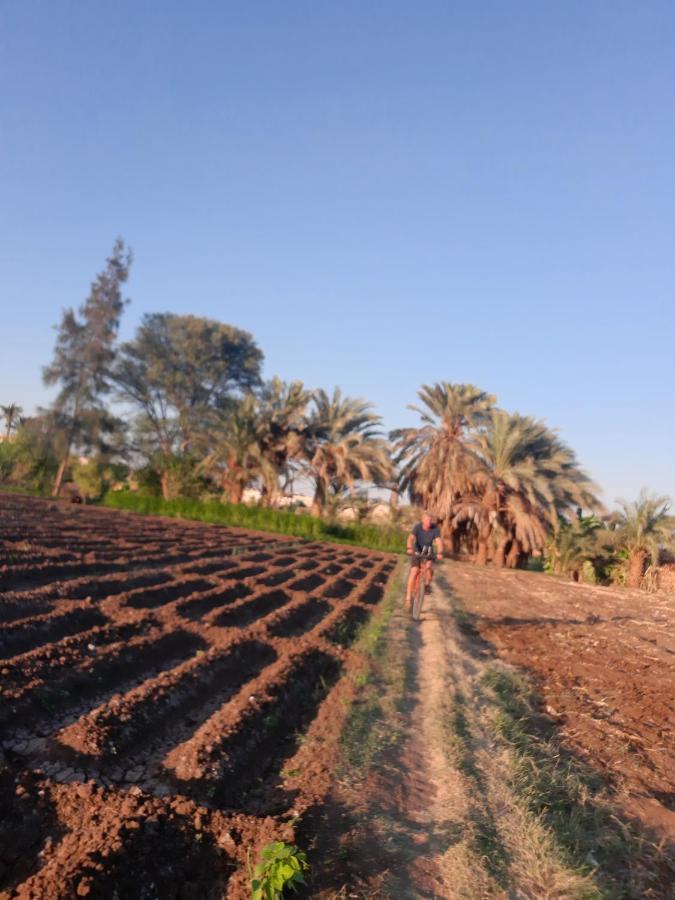 Village Room In The Countryside Al Minya Bagian luar foto